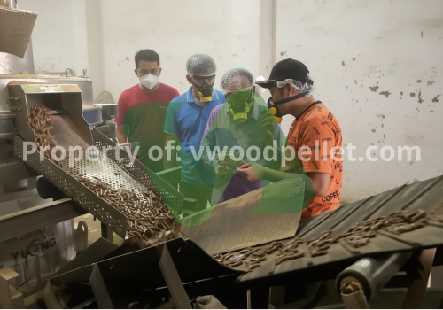 To preserve and guarantee consistency in the quality of wood pellets, quality inspection
